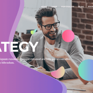 Camille Multipurpose WordPress Theme