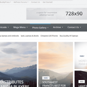 Gadgetine- Premium Magazine WordPress Theme