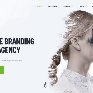 Get -Artrium WordPress Theme