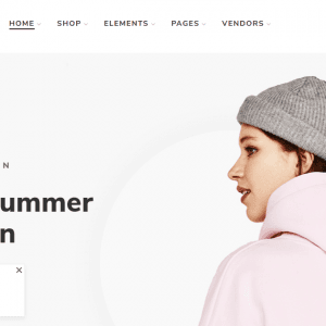 Get - Elessi WooCommerce WordPress Theme