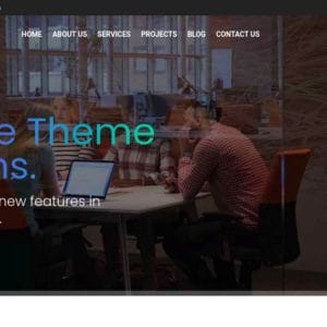 Get- Avas Elementor WordPress Theme