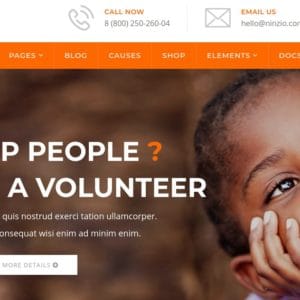 Get- Fundrize Donation & Charity WordPress Theme