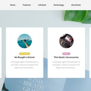 Get- Linx Blog & Magazine WordPress Theme