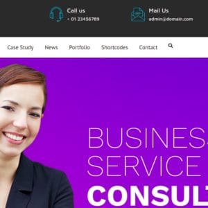 Get- Concho Consultancy Business WordPress Theme