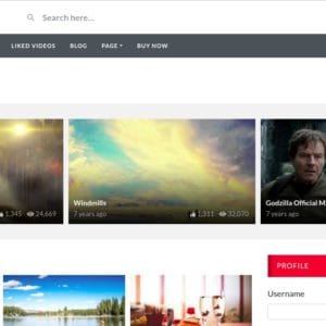 Get- VideoTube Video WordPress Theme