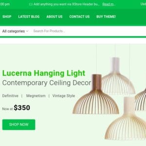 Get XStore - Multipurpose WooCommerce Elementor Theme