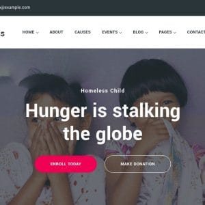 GET Charitious – NonProfit Fundraising Charity Theme