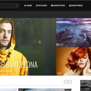 GET True Mag - WordPress Theme for Video and Magazine