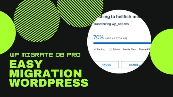 WP Migrate Pro