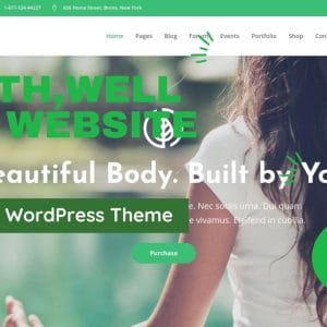 GET Wellspring WordPress Theme