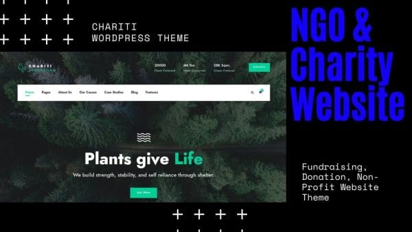 chariti wordpress theme
