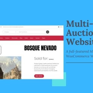 GET iBid WordPress Theme