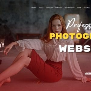 GET Dan WordPress Theme