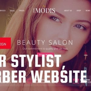 GET Modis WordPress Theme