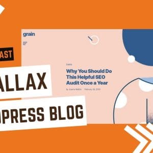 GET Paper Plane WordPress Theme