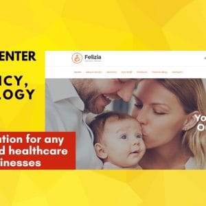 GET Felizia WordPress Theme