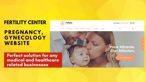 Felizia WordPress Theme