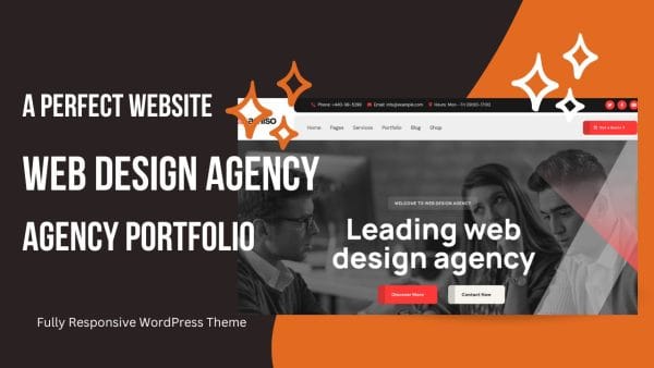 amiso wordpress theme