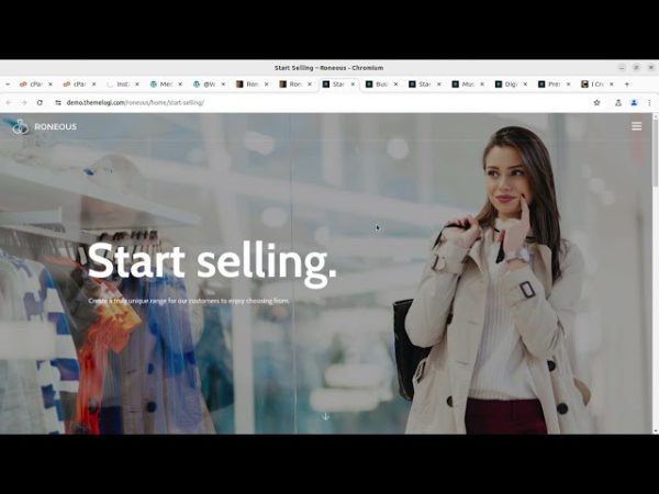 roneous wordpress theme