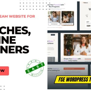 GET Effectiv Productivity Coach & Mentor FSE Theme